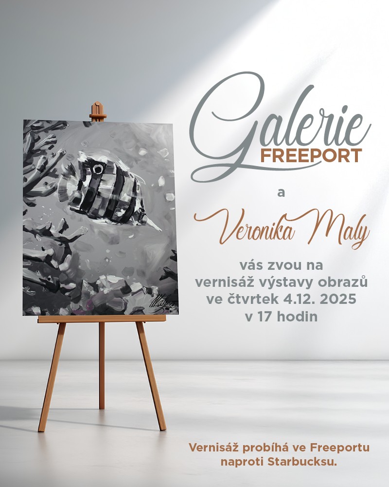 Zveme vás na vernisáž 4. prosince!